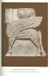 WINGED HUMAN-HEADED COW (?)<br> <i>From Kouyunjik (Nineveh): now in the British Museum</i>.<br> Photo. Mansell.